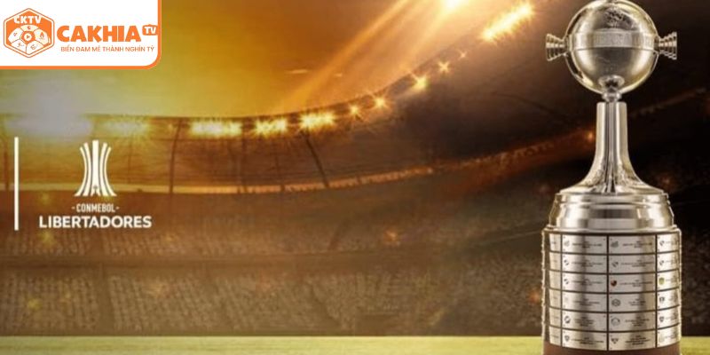 Hình thức thi đấu của giải Copa Libertadores 