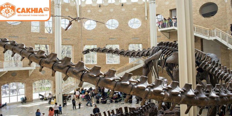 Phố cổ và các bảo tàng ở Atlanta nhộn nhịp khách tham quan